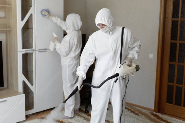 Best Post-Flood Mold Remediation in Nuevo, CA